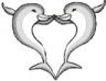 Dolphins