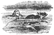 alice and mouse