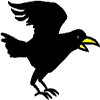 The Raven