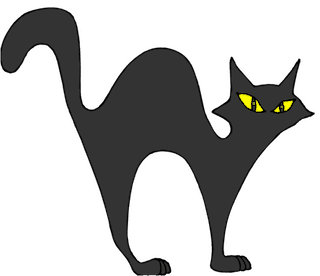 cat who walked by himself