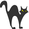 blackcat_thumb