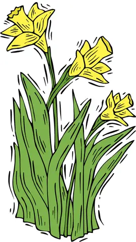 daffodils poem by william wordsworth. It was written by William