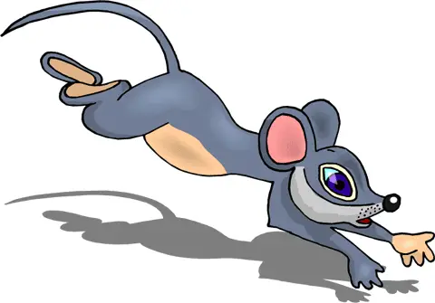 Mouse Running