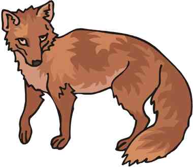 16 secret garden- fox