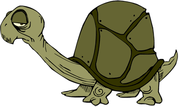wise tortoise cartoon