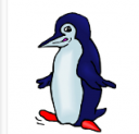 penguin