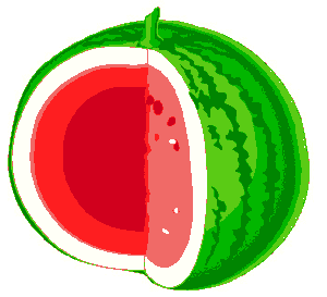 watermelon prince vietnam