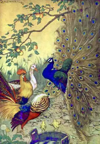 Juno and the Peacock by Milo Winter / Aesop