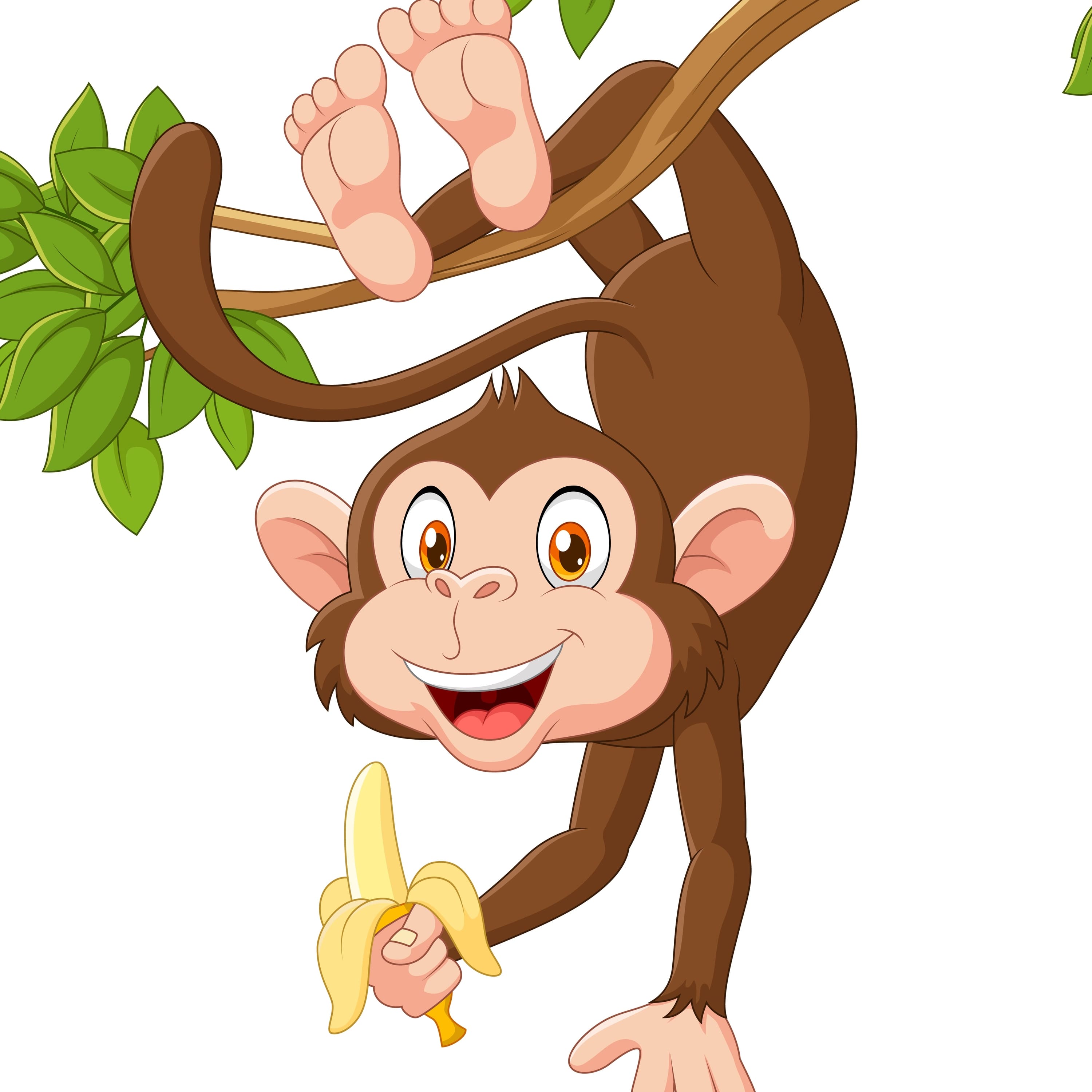 why-bananas-belong-to-monkeys-storynory